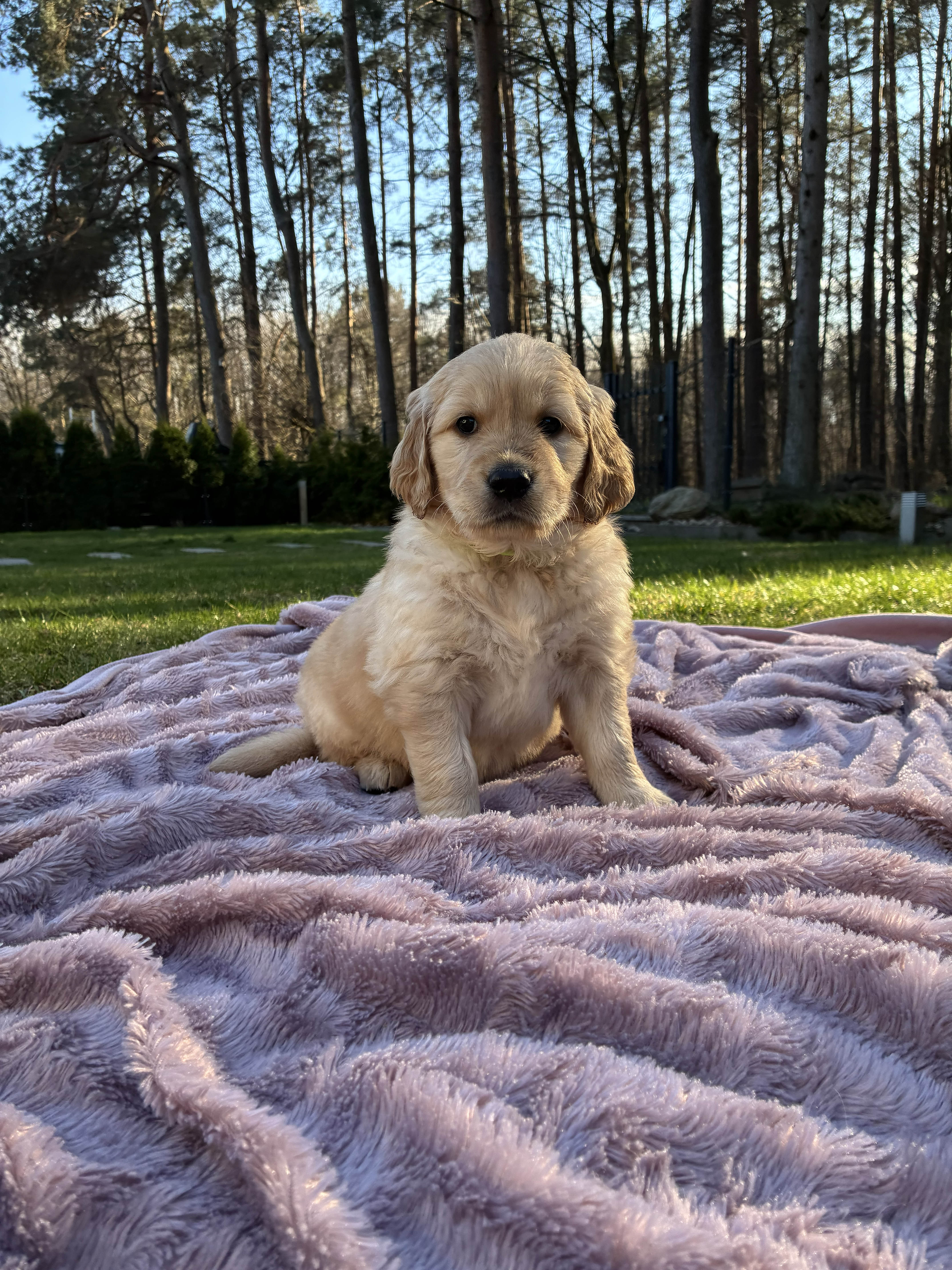 Bella